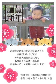 仕上がりイメージ5